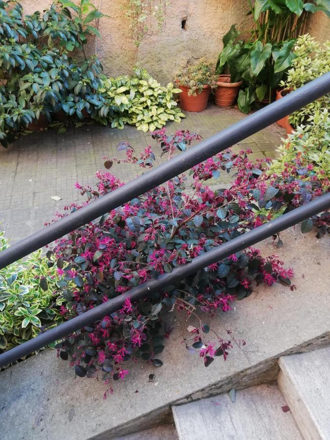 Tra Gianicolo E Trastevere Roma Exterior foto