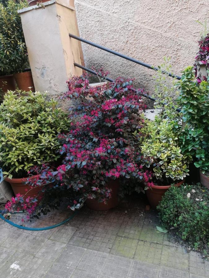 Tra Gianicolo E Trastevere Roma Exterior foto